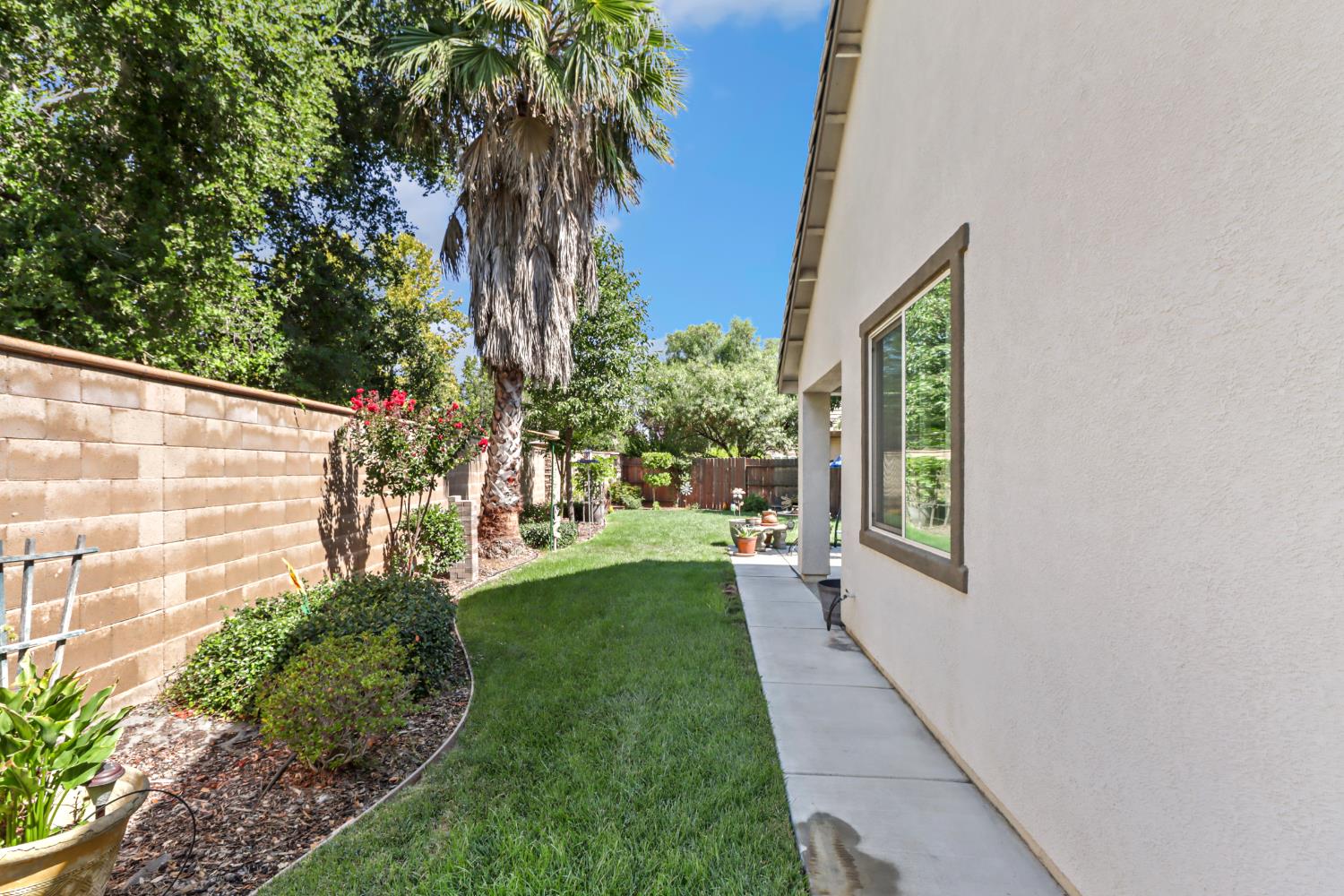 7401 Rothschild Court Elk Grove, CA 95757 - Photo 42 of 42 a view of yard from a house