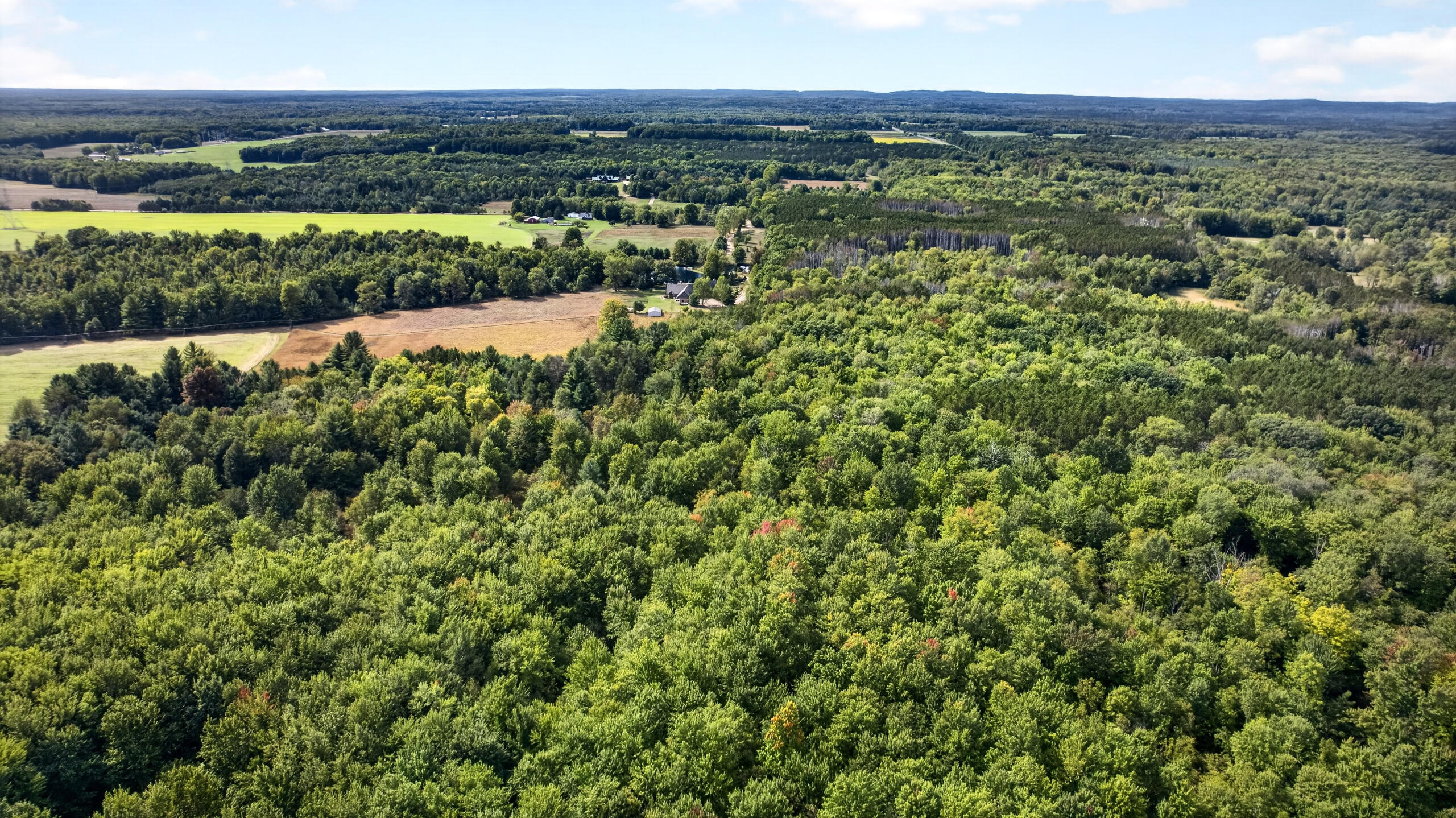 4212 South 162nd Avenue Hesperia, MI 49421 - Photo 82 of 86 087_DJI_0459
