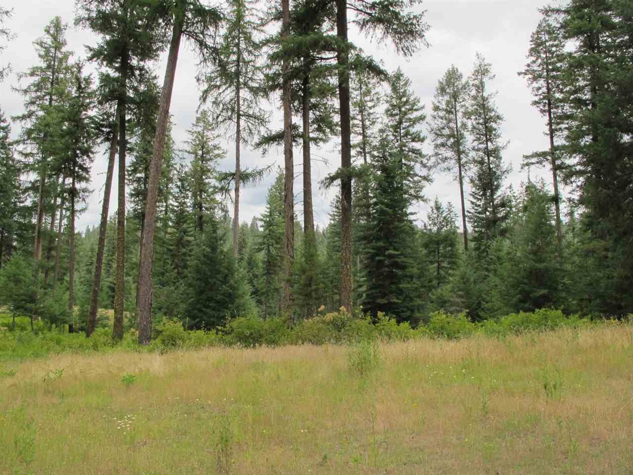 East Burnett Road Mead, WA 99021 - Photo 14 of 20