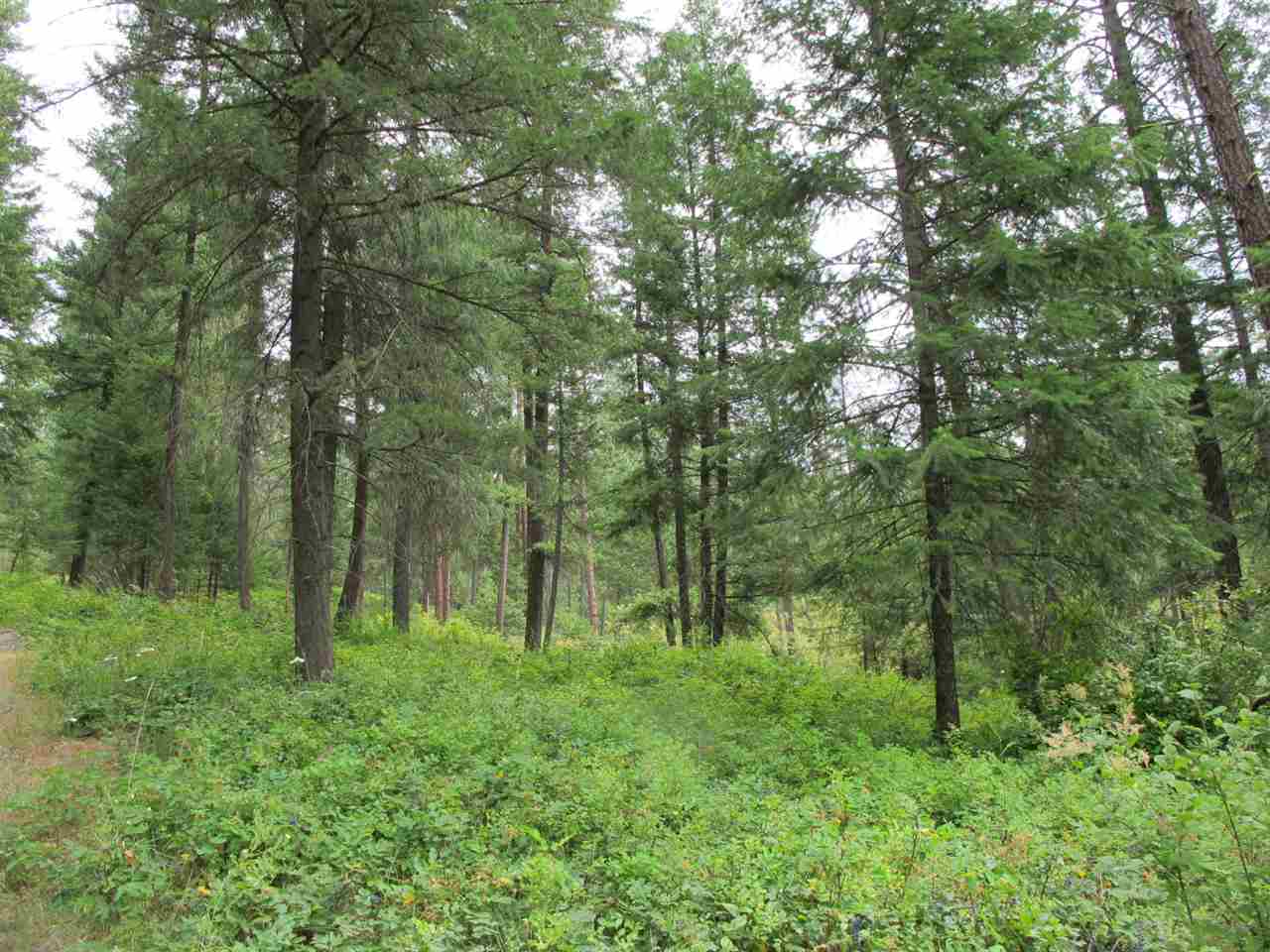 East Burnett Road Mead, WA 99021 - Photo 4 of 20