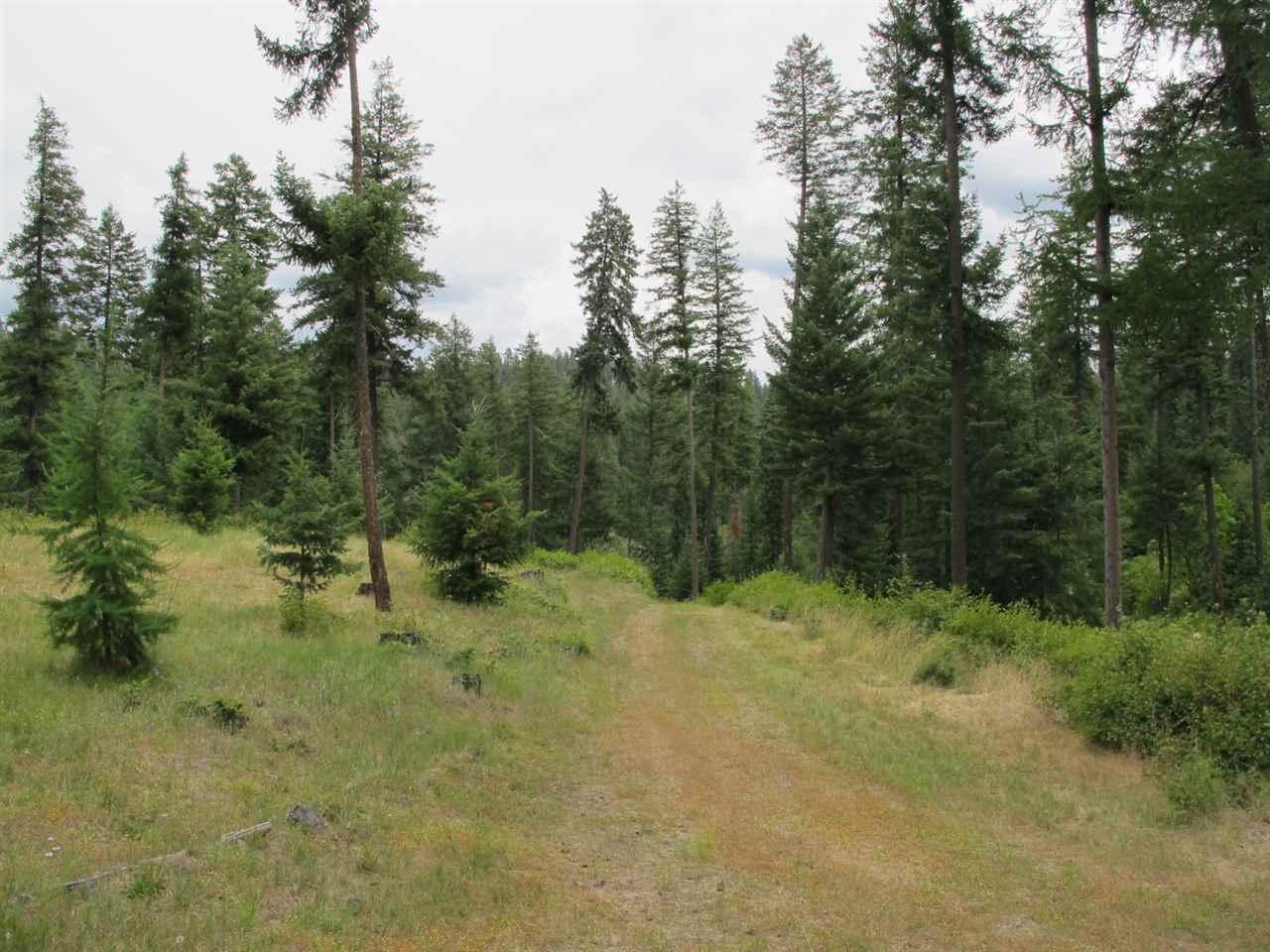 East Burnett Road Mead, WA 99021 - Photo 5 of 20