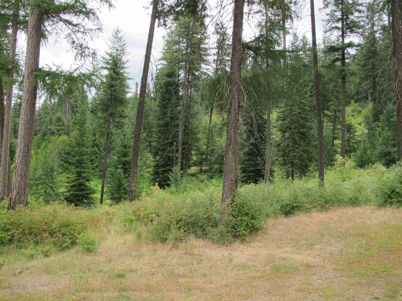 East Burnett Road Mead, WA 99021 - Photo 6 of 20