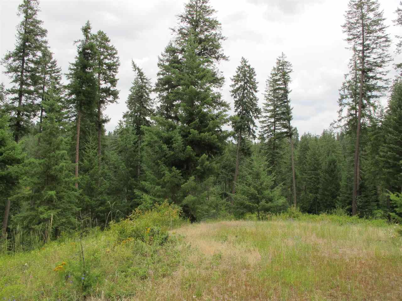 East Burnett Road Mead, WA 99021 - Photo 10 of 20