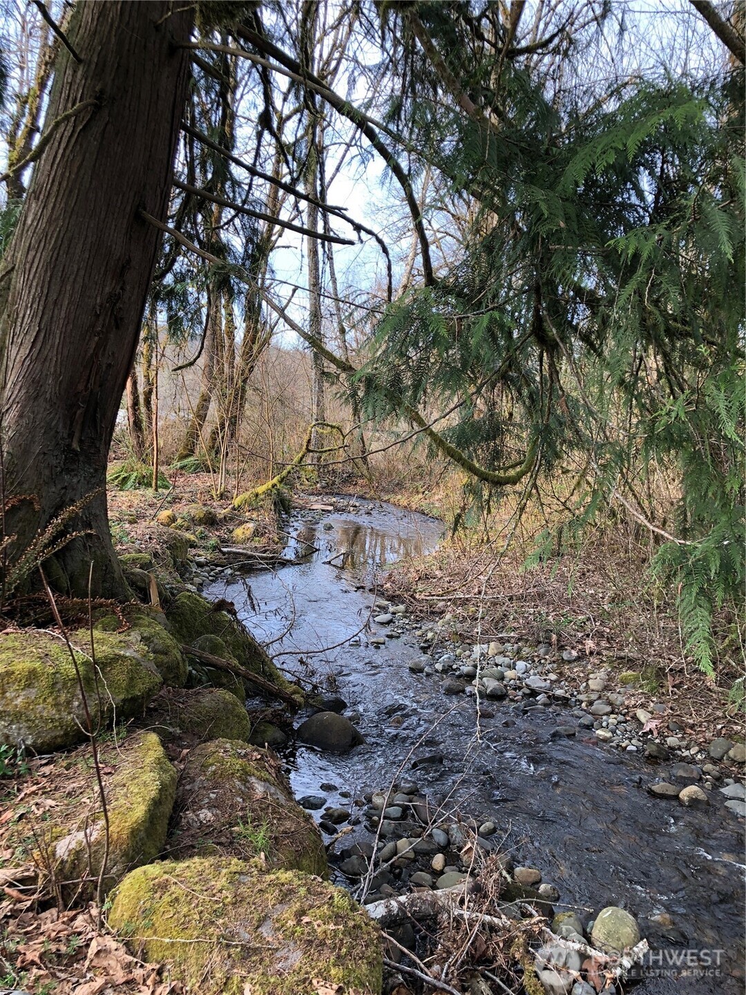 19510 190th Avenue East Orting, WA 98360 - Photo 39 of 40