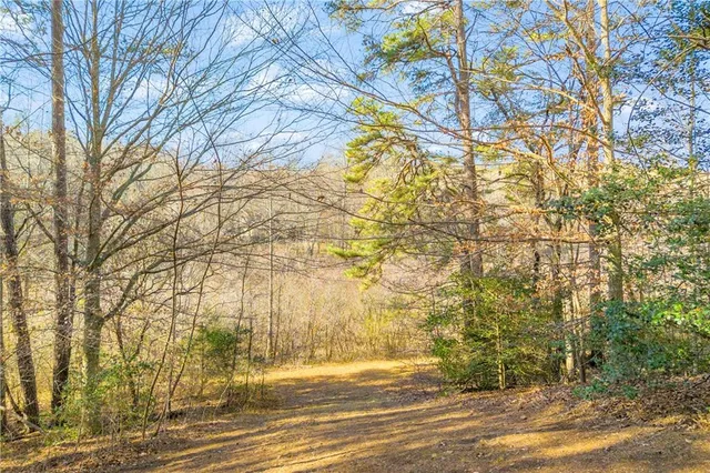 a view of street along with trees