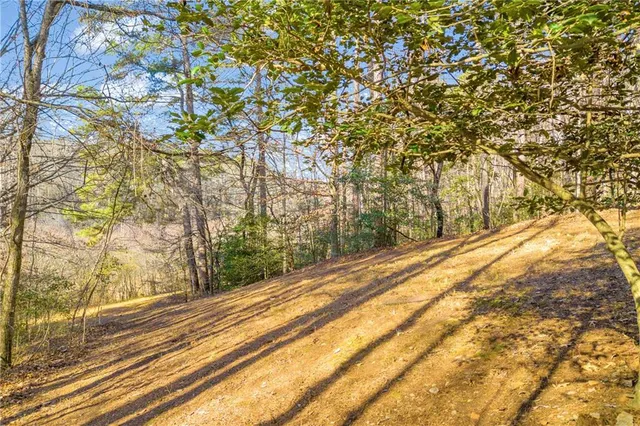 a view of a yard with large trees