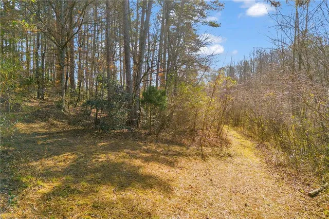 a view of backyard of building