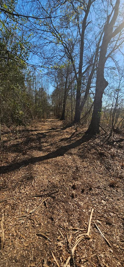 4.9-acres Grady Garner Road Slocomb, AL 36375 - Photo 22 of 70