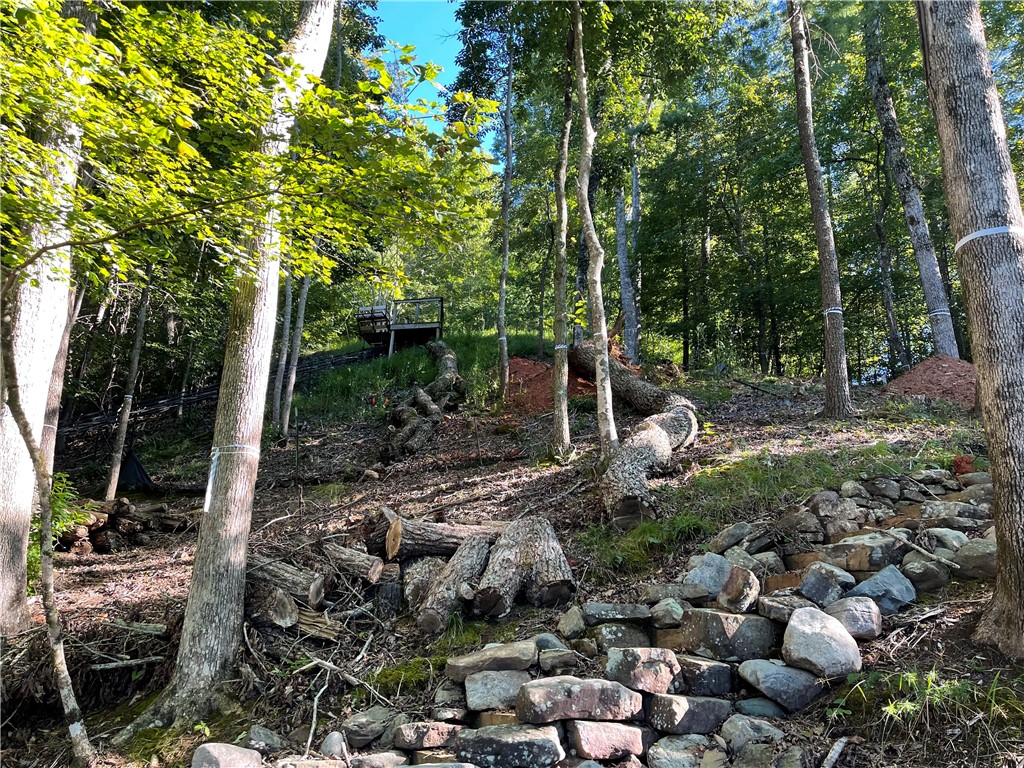 112 Misty Water Loop Sunset, SC 29685 - Photo 11 of 20