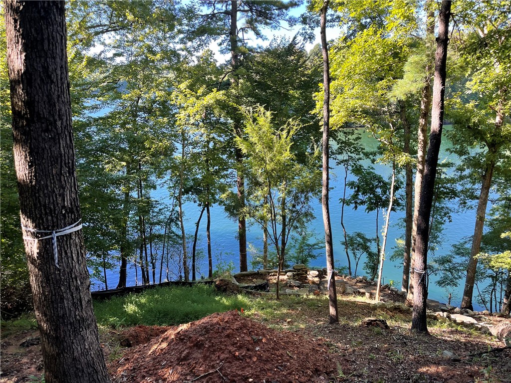 112 Misty Water Loop Sunset, SC 29685 - Photo 8 of 20 Please note, this photo was taken prior to dock be