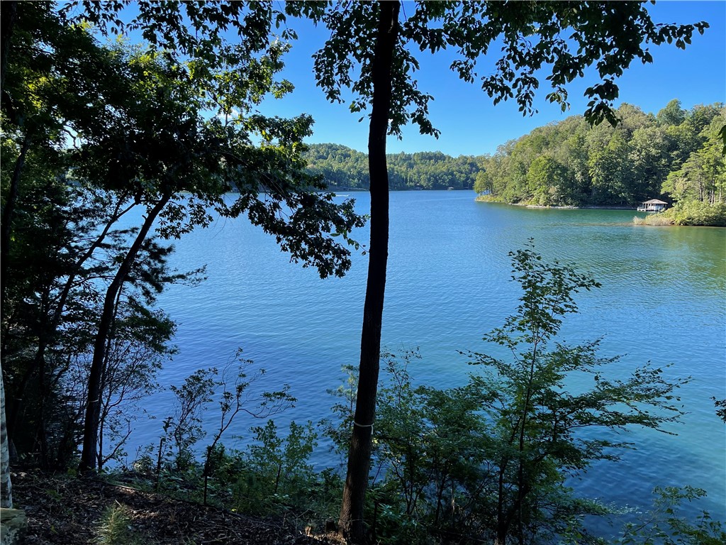 112 Misty Water Loop Sunset, SC 29685 - Photo 10 of 20 Please note, this photo was taken prior to dock be