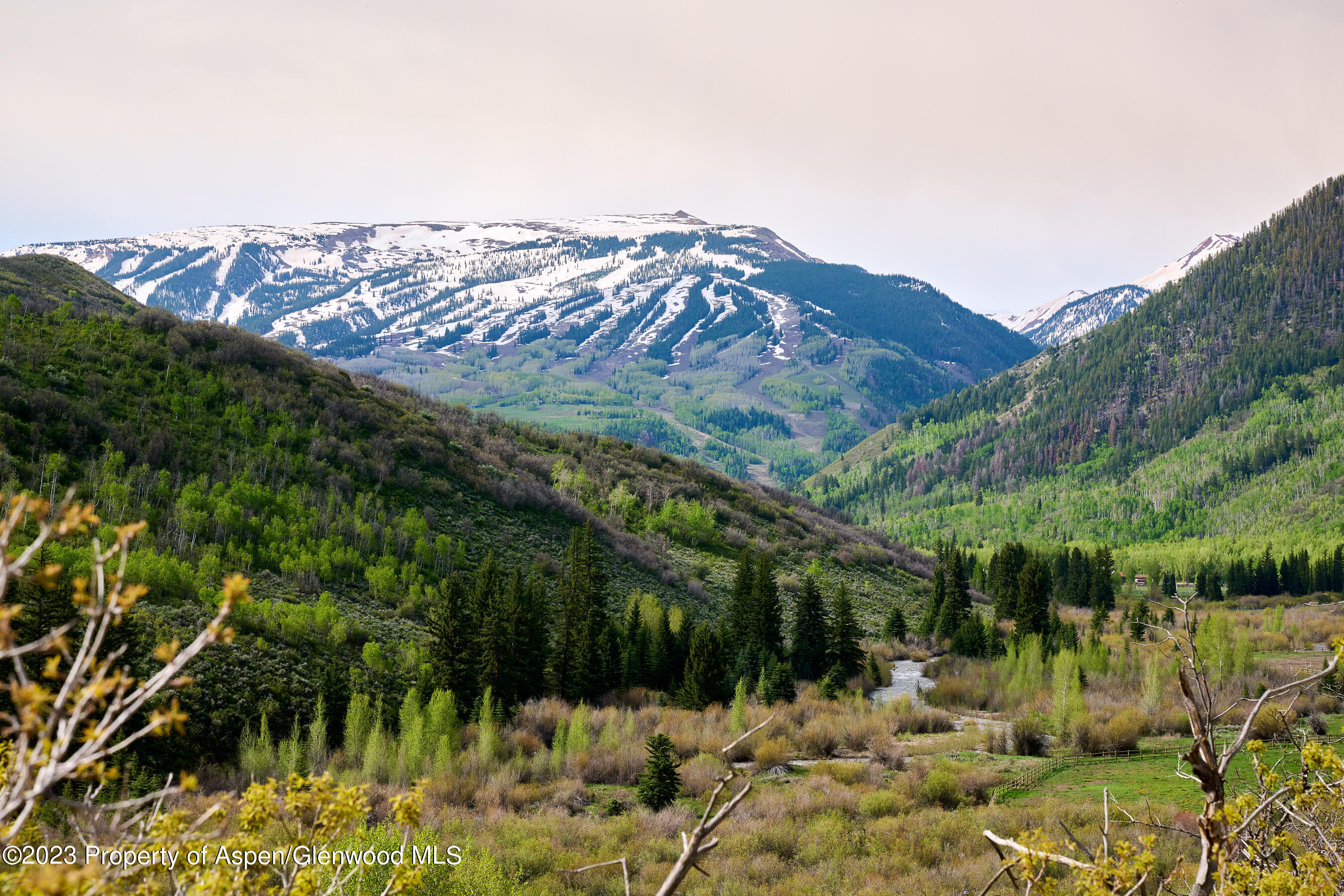 51 Shield O Road Snowmass, CO 81654 - Photo 21 of 24 51 Shield O Road 2700 Size 24