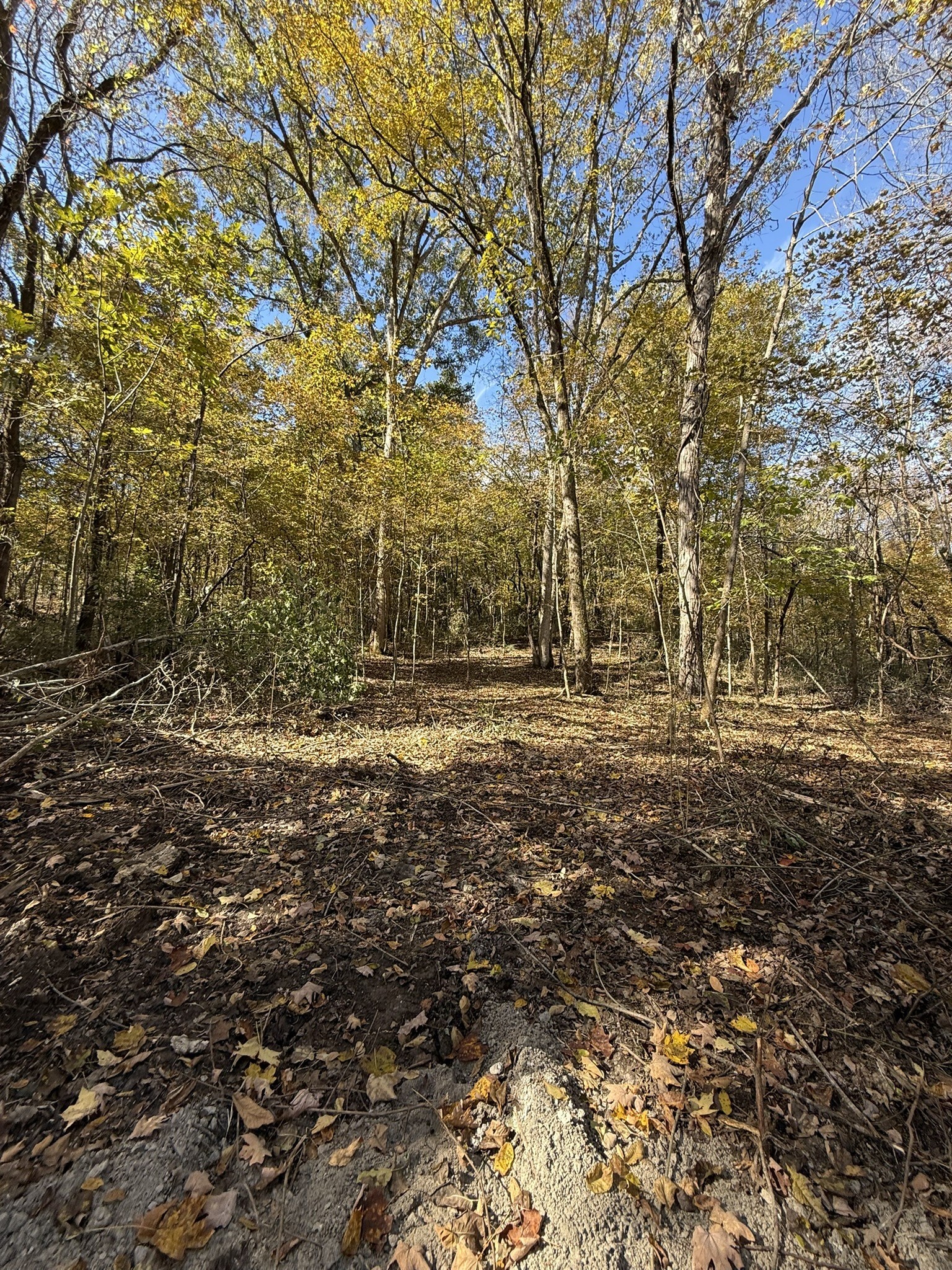 0 Rock Springs Road Columbia, TN 38401 - Photo 32 of 68 Gallery Image 32
