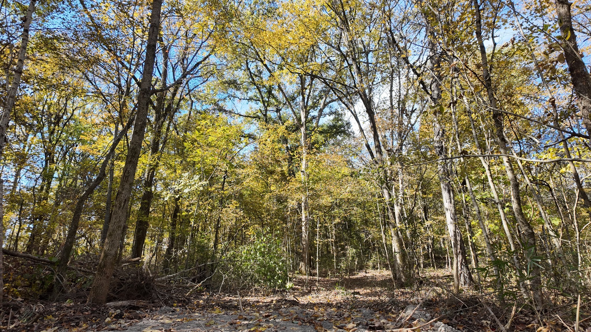 0 Rock Springs Road Columbia, TN 38401 - Photo 43 of 68 Gallery Image 43