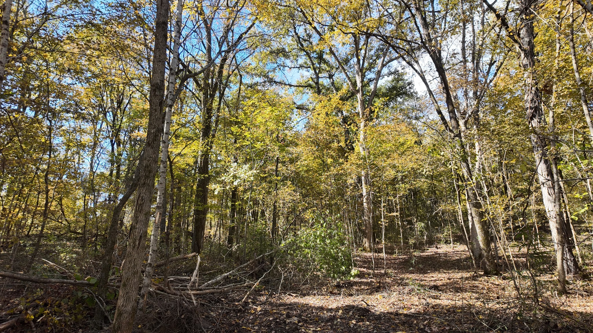 0 Rock Springs Road Columbia, TN 38401 - Photo 45 of 68 Gallery Image 45