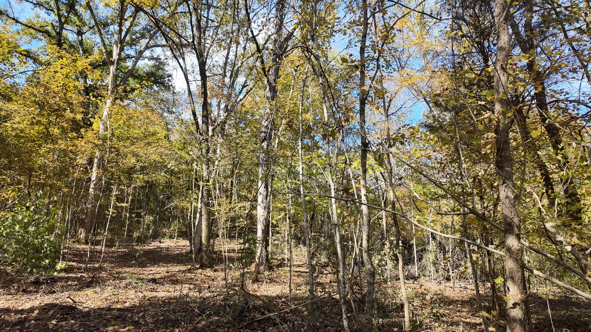 0 Rock Springs Road Columbia, TN 38401 - Photo 46 of 68 Gallery Image 46