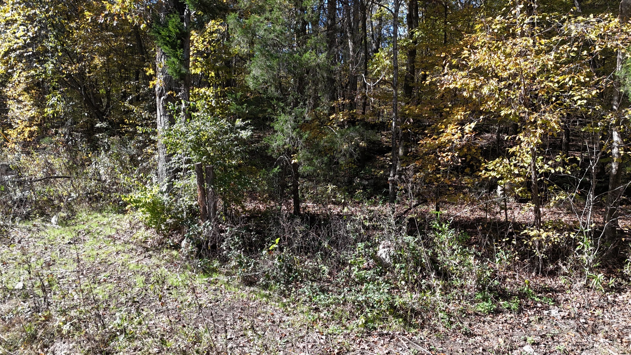 0 Rock Springs Road Columbia, TN 38401 - Photo 66 of 68 Gallery Image 66