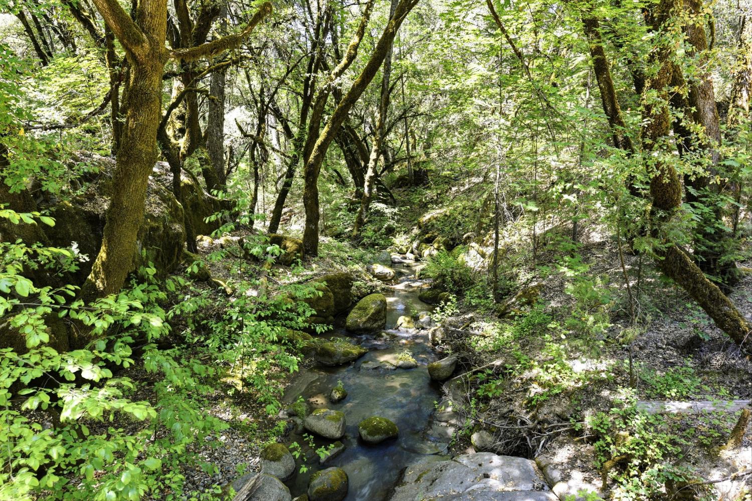 7201 Happy Valley Road Somerset, CA 95684 - Photo 68 of 75 Natural stream winding through a densely wooded landscape with varied foliage and rock formations align the shores of year-round Butte Creek on the property. A little slice of heaven in your backyard.