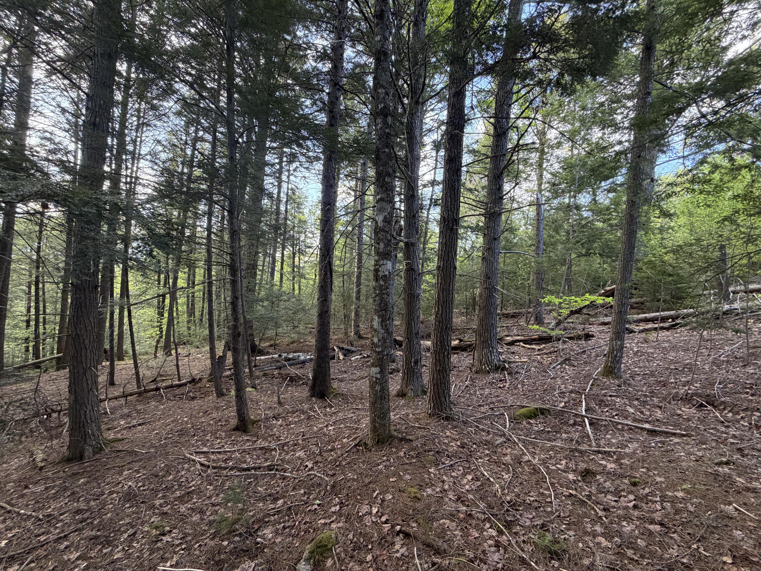 Lot 41-1 Bottle Lake Road Lakeville, ME 04487 - Photo 6 of 23 IMG_0896