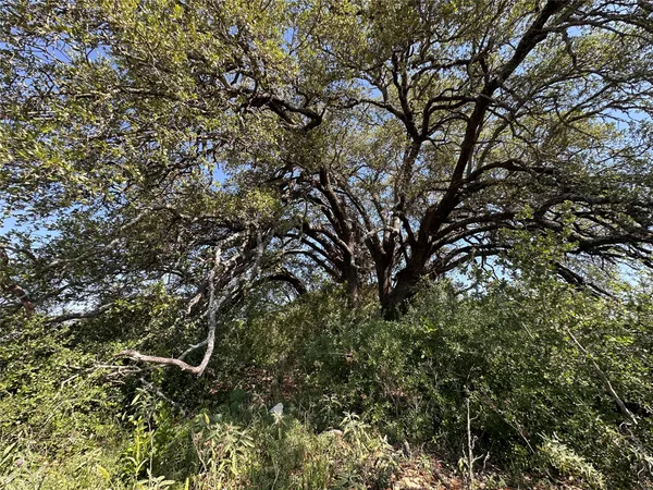 $229,800 | Lot 49 Serenity Drive, Bertram, TX 78605