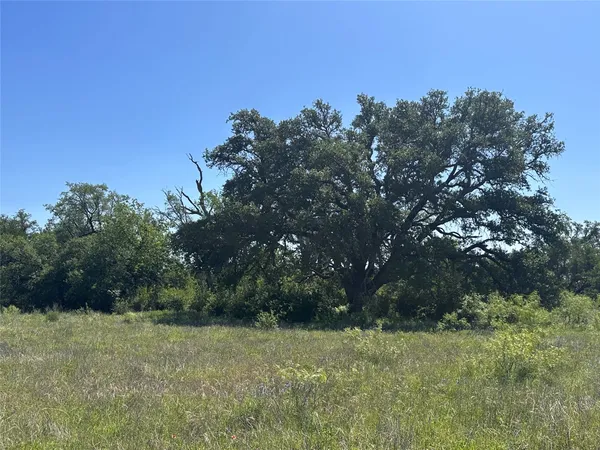 a view of a field with trees in the background