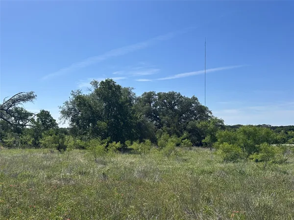 a view of a field of grass and trees