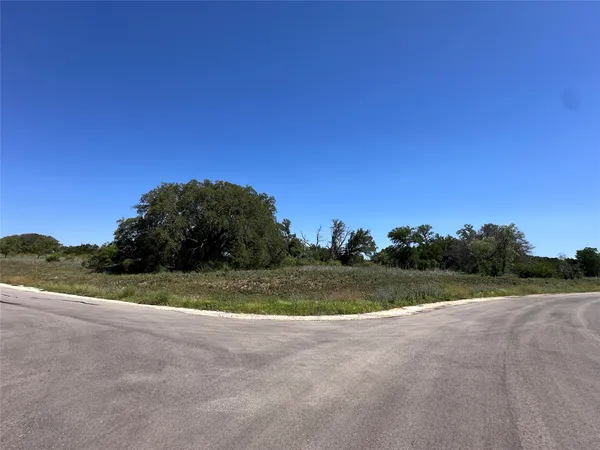 a view of a field of grass and trees