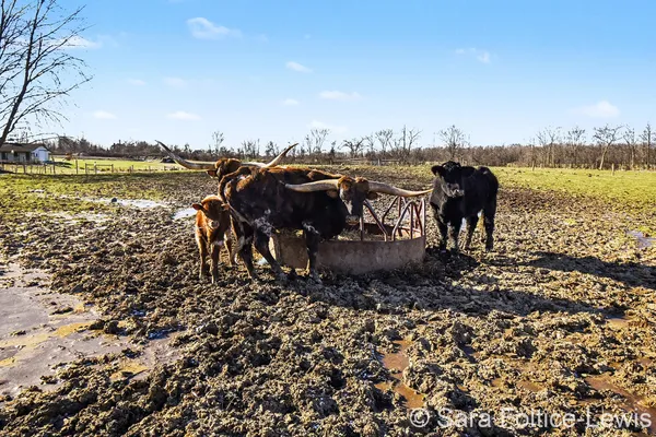 $1,250,000 | 1595 Angling Road, Hudsonville, MI 49426