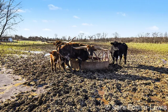 $1,300,000 | 1595 Angling Road, Hudsonville, MI 49426