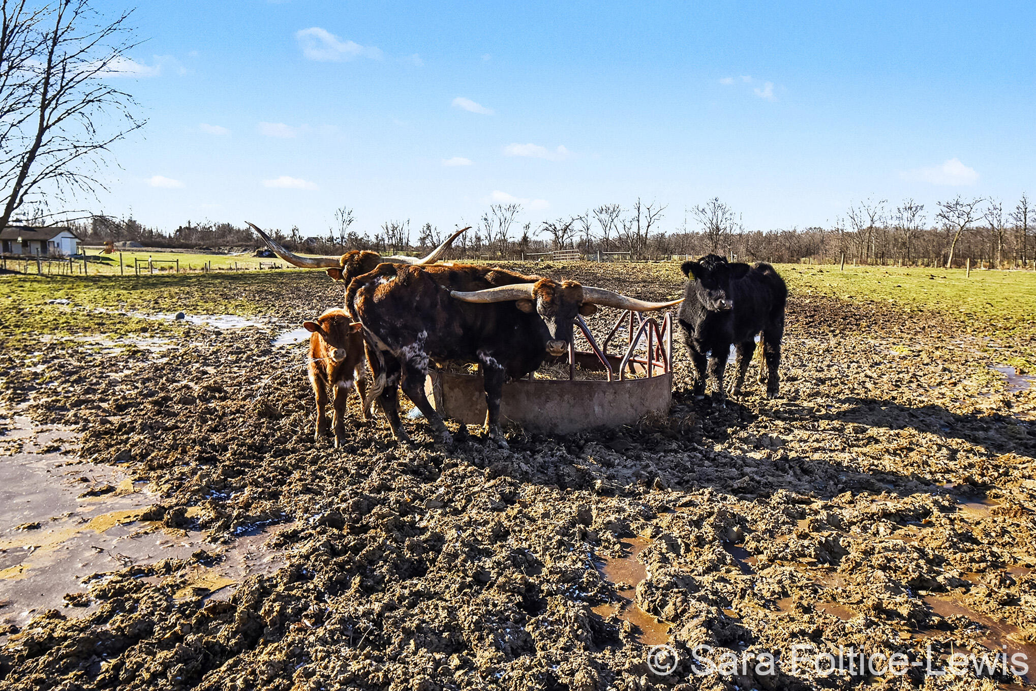 1595 Angling Road Hudsonville, MI 49426 - Photo 50 of 53 _DSC9643