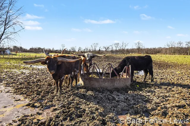 $1,300,000 | 1595 Angling Road, Hudsonville, MI 49426