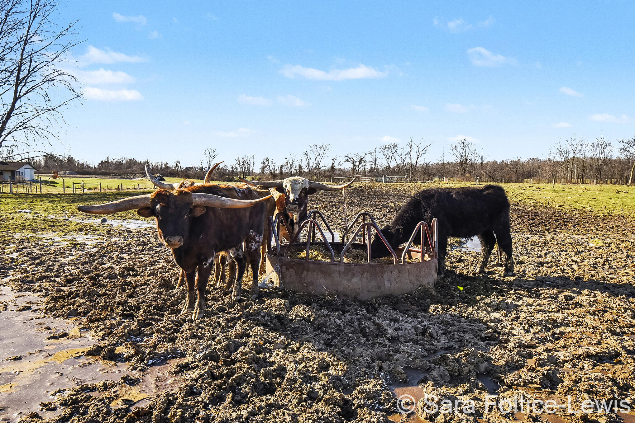 1595 Angling Road Hudsonville, MI 49426 - Photo 51 of 53 _DSC9647