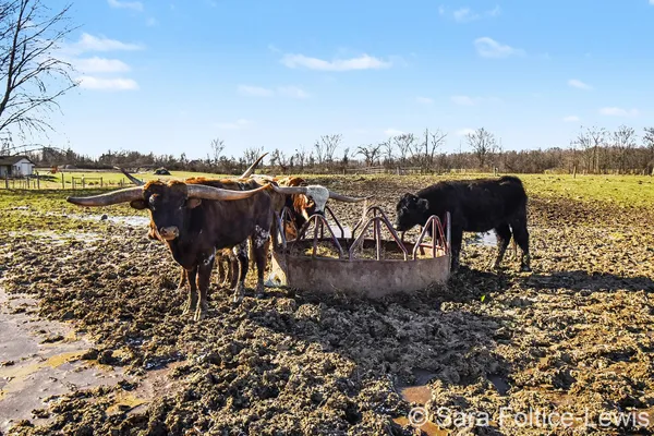 $1,250,000 | 1595 Angling Road, Hudsonville, MI 49426