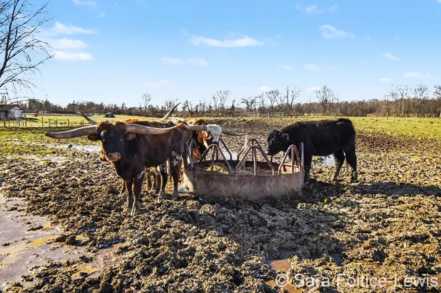 $1,300,000 | 1595 Angling Road, Hudsonville, MI 49426