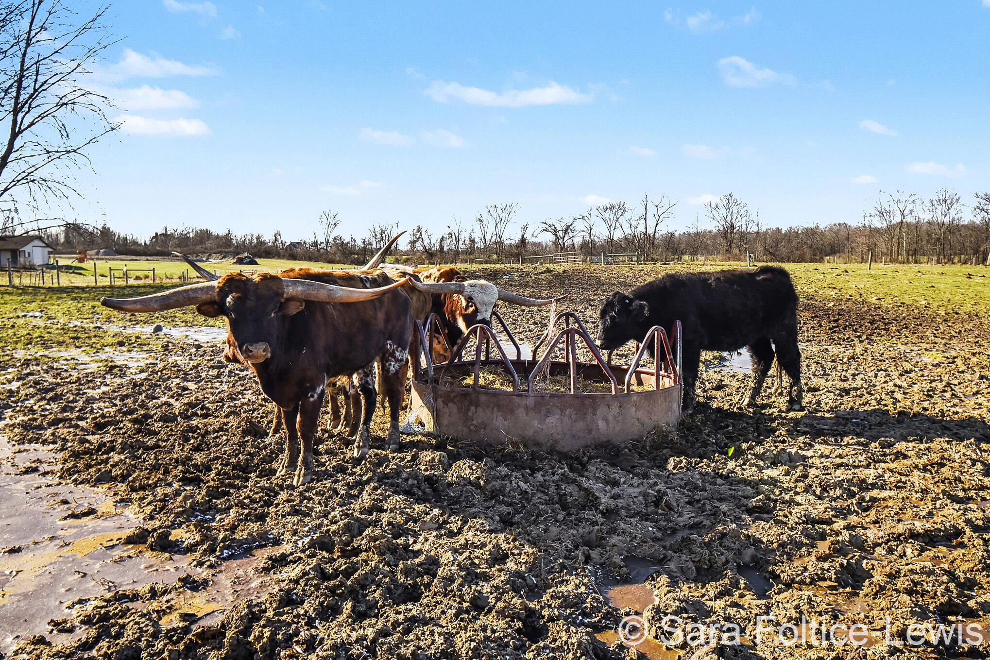 1595 Angling Road Hudsonville, MI 49426 - Photo 52 of 53 _DSC9653