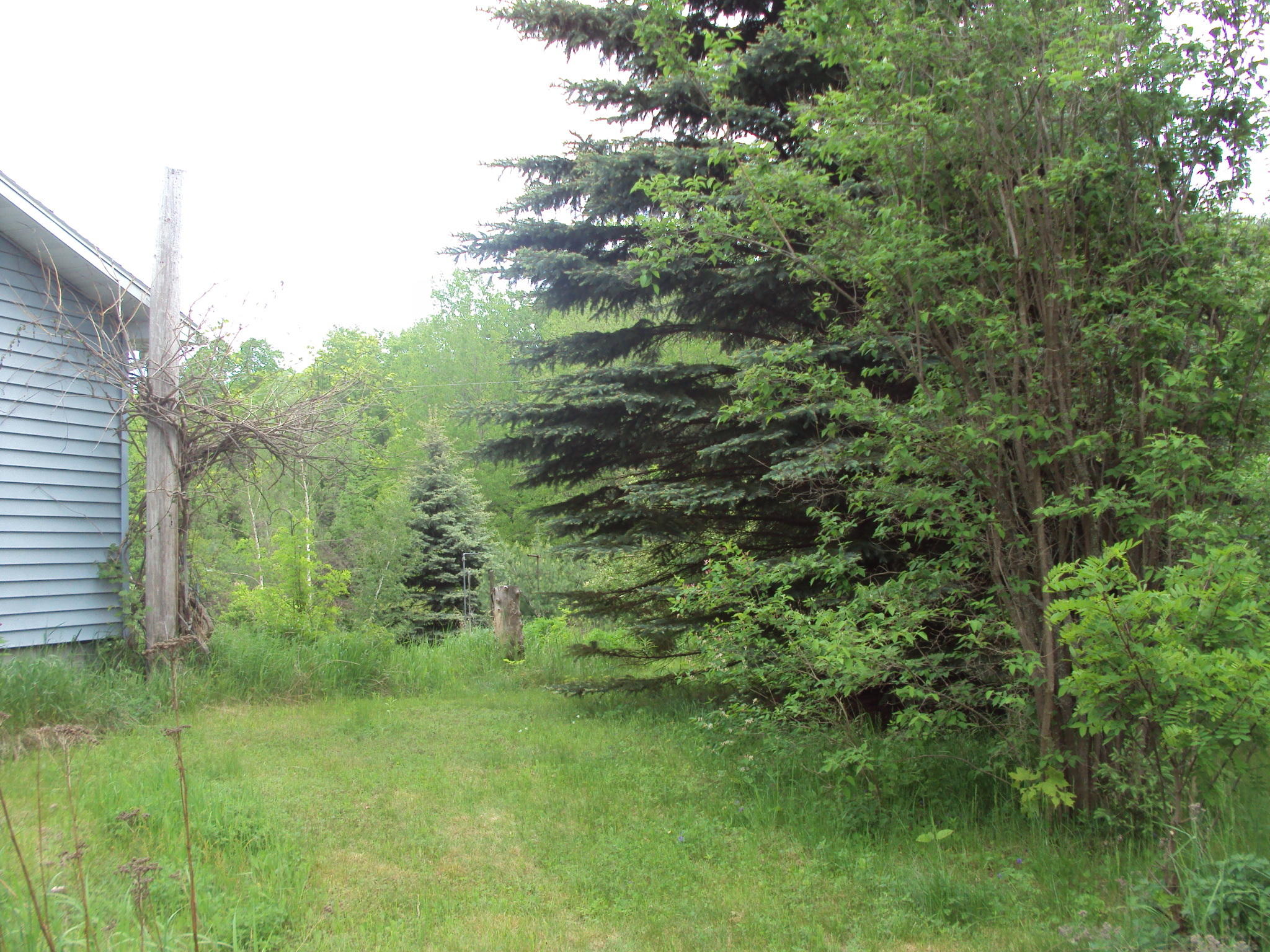 3480 Bowman Road Alanson, MI 49706 - Photo 33 of 36 Gallery Image 33