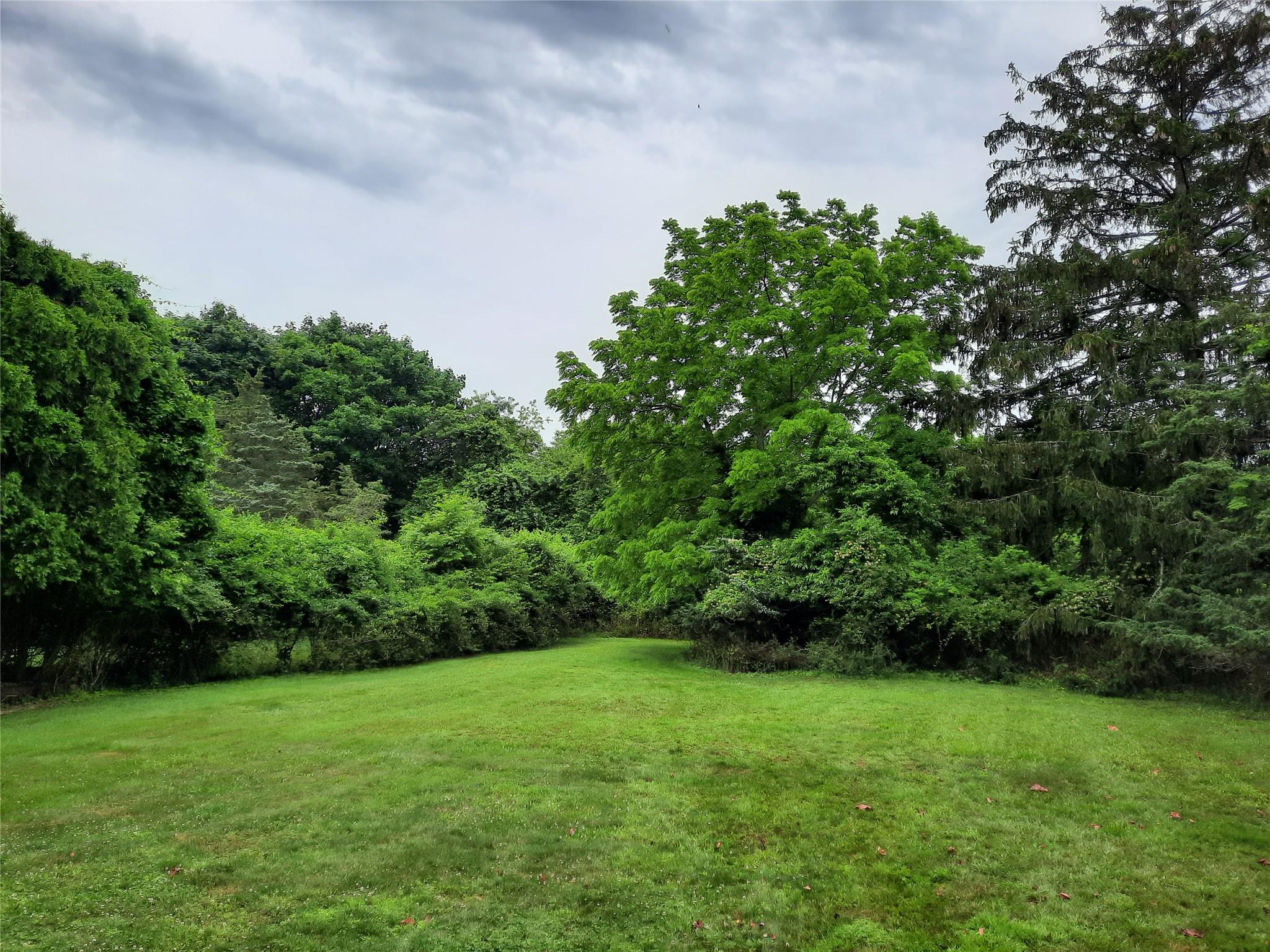 17 Club Lane Remsenburg, NY 11960 - Photo 4 of 15 a view of a lush green space