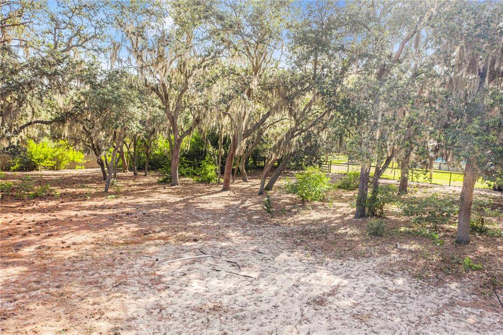 10740 Jim Edwards Road Haines City, FL 33844 - Photo 46 of 66