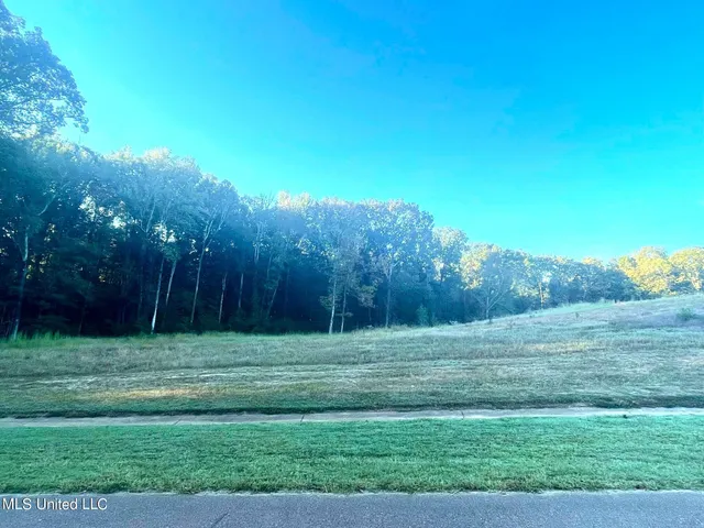 $105,000 | 2991 Cyrene Drive, Hernando, MS 38632