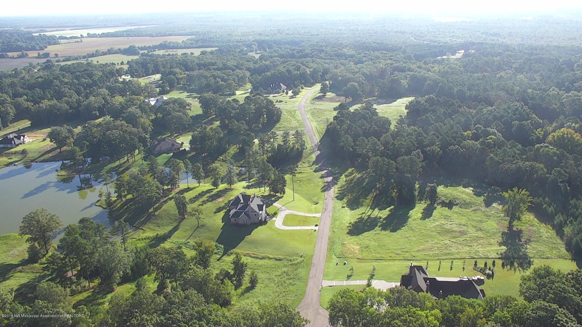 2991 Cyrene Drive Hernando, MS 38632 - Photo 4 of 12 Gray's Creek Cyrene