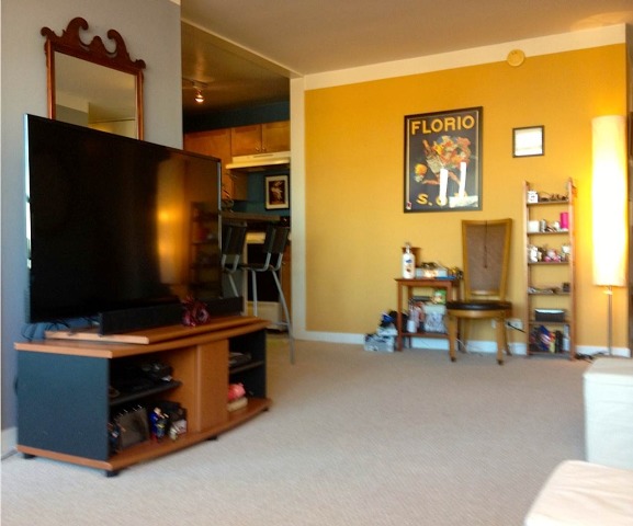 655 West Irving Park Road, Unit 1306 Chicago, IL 60613 - Photo 3 of 11