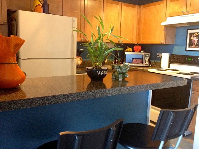 655 West Irving Park Road, Unit 1306 Chicago, IL 60613 - Photo 6 of 11