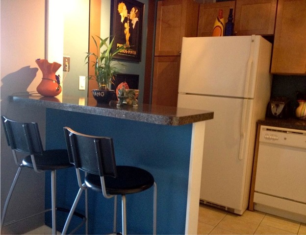655 West Irving Park Road, Unit 1306 Chicago, IL 60613 - Photo 7 of 11
