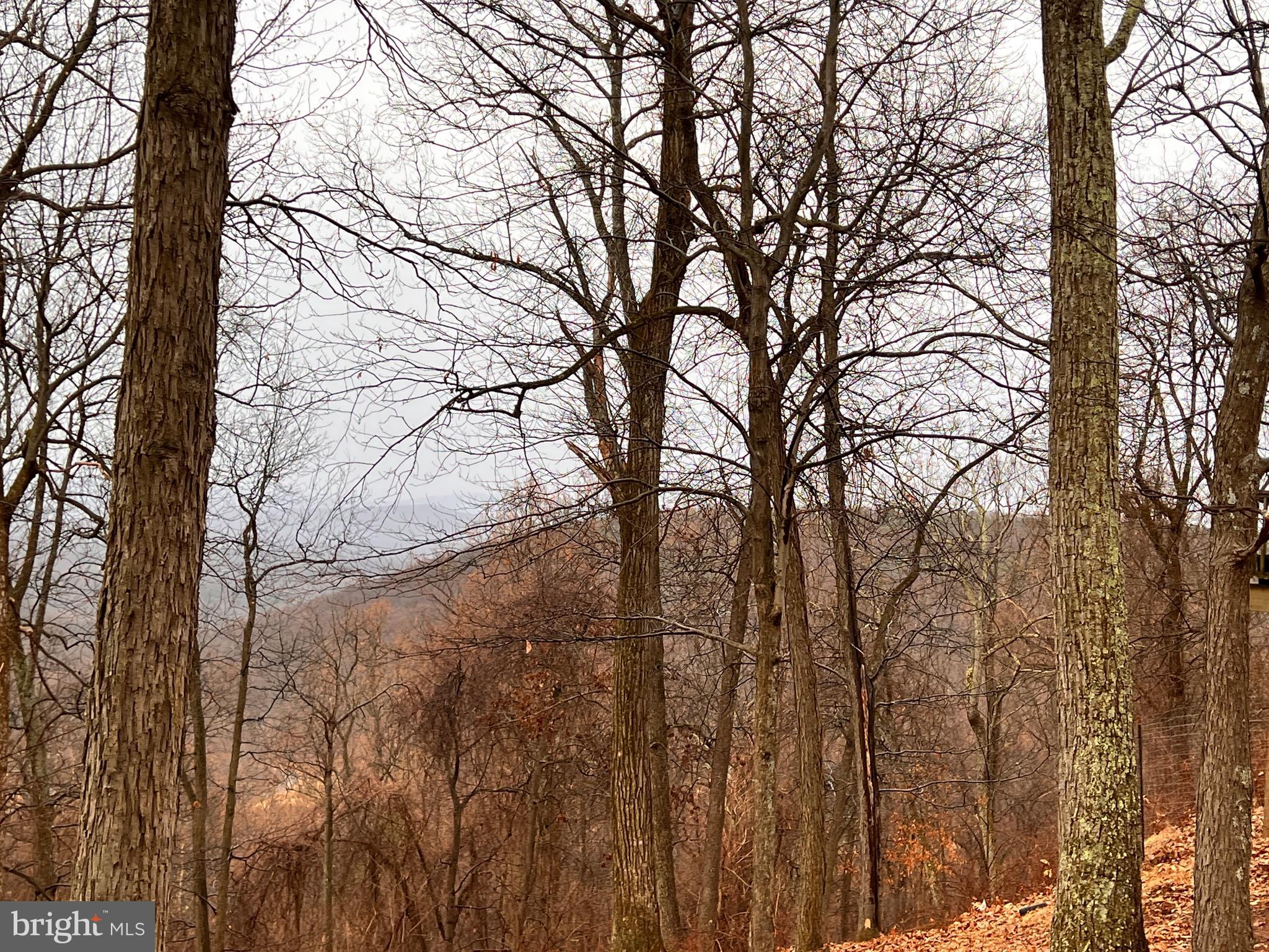 2777 Audubon Road Hedgesville, WV 25427 - Photo 9 of 60 Wake up to this!