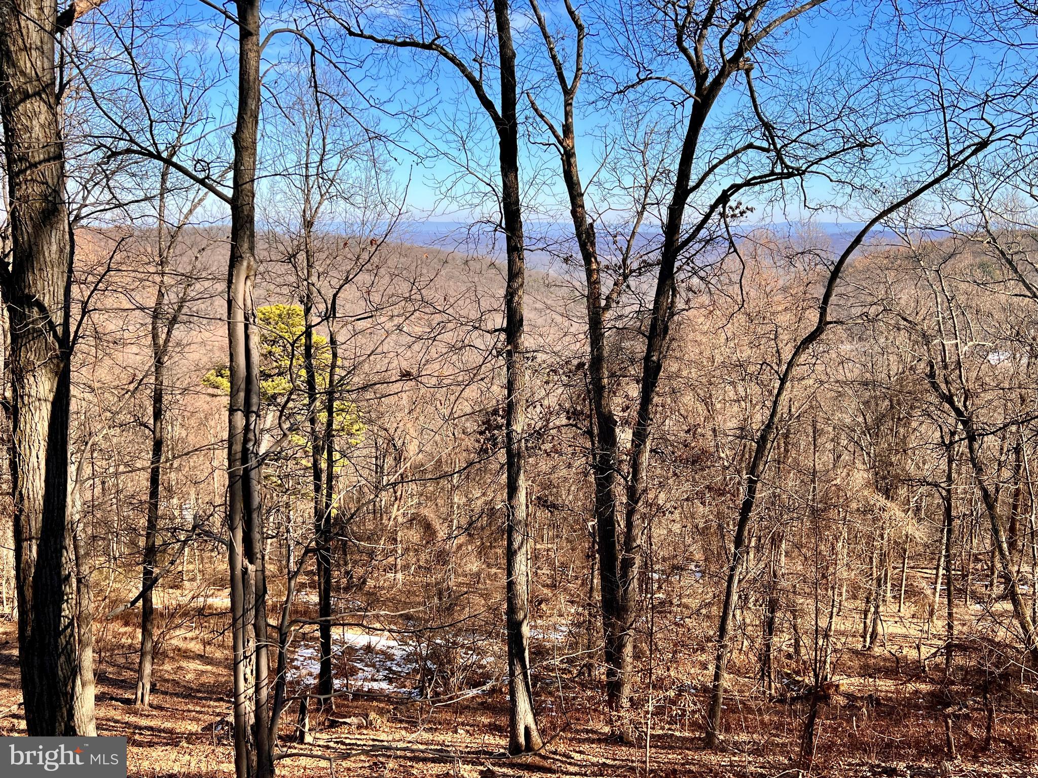 2777 Audubon Road Hedgesville, WV 25427 - Photo 10 of 60 Takes your breath away.