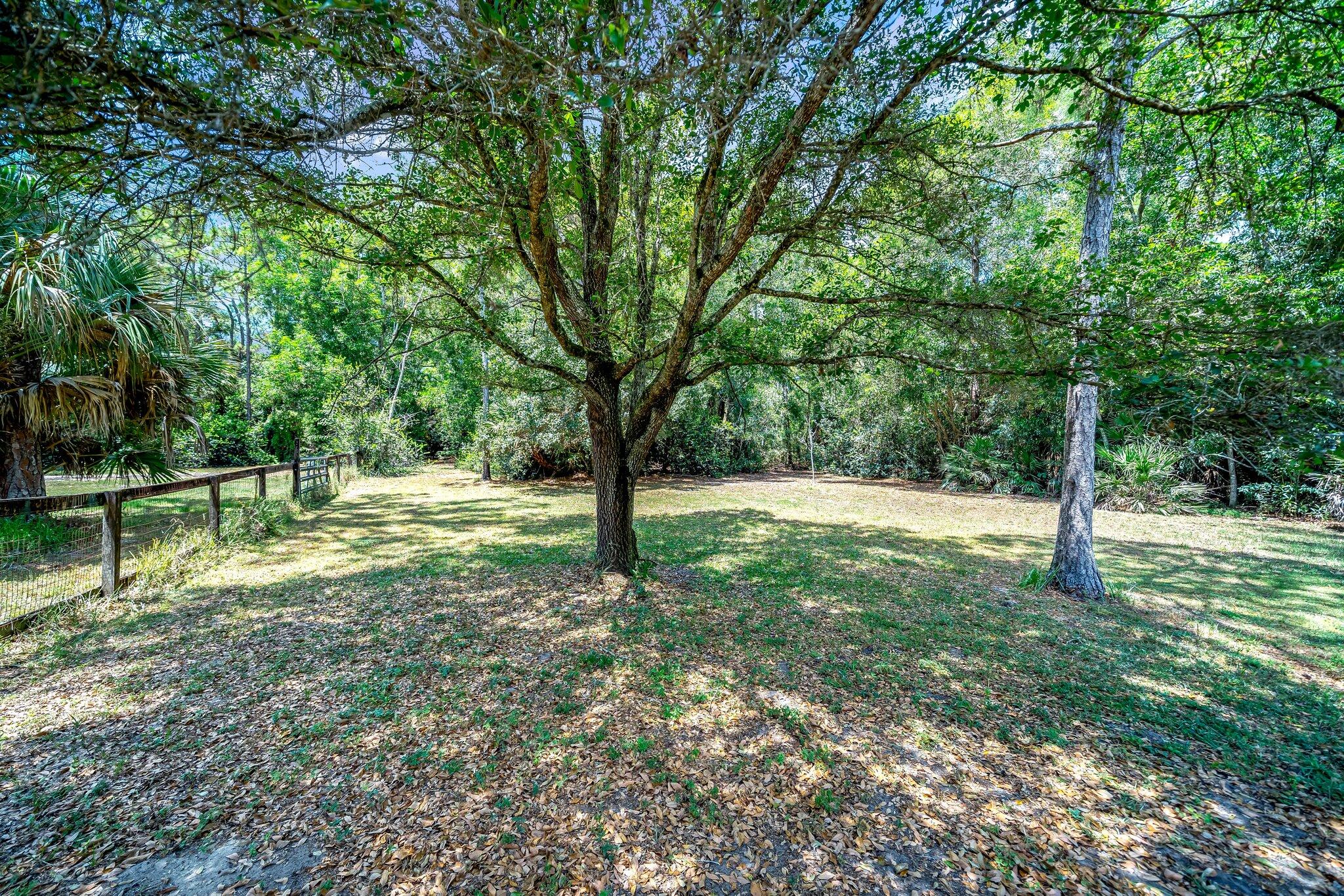 17645 Winterhawk Trail Jupiter, FL 33478 - Photo 32 of 45 BACK VIEW