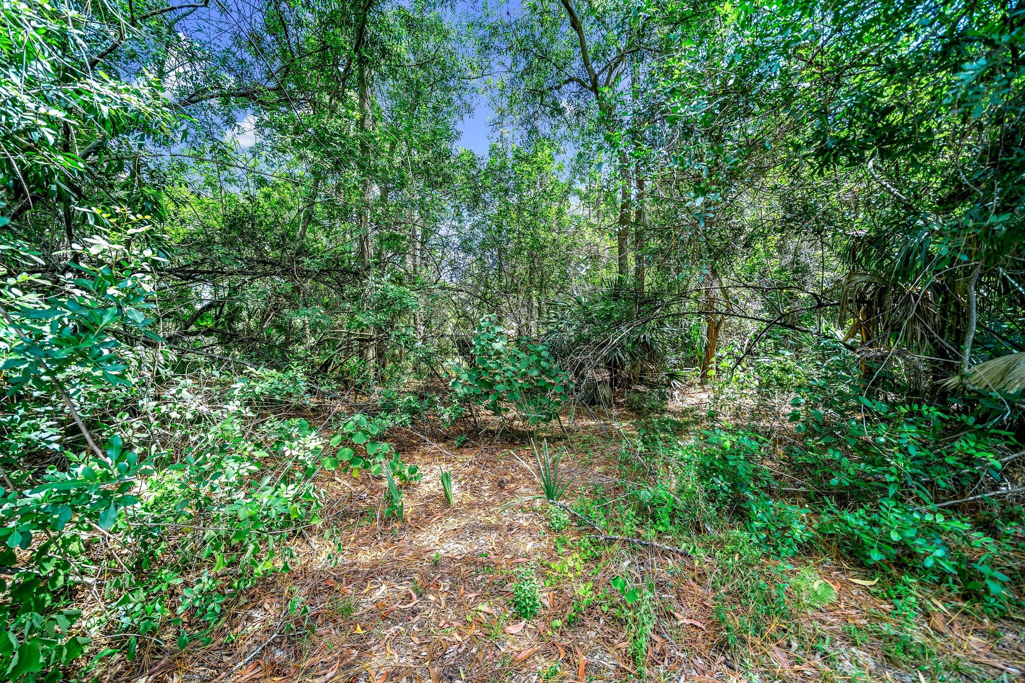 17645 Winterhawk Trail Jupiter, FL 33478 - Photo 36 of 45 2.5 ACRES