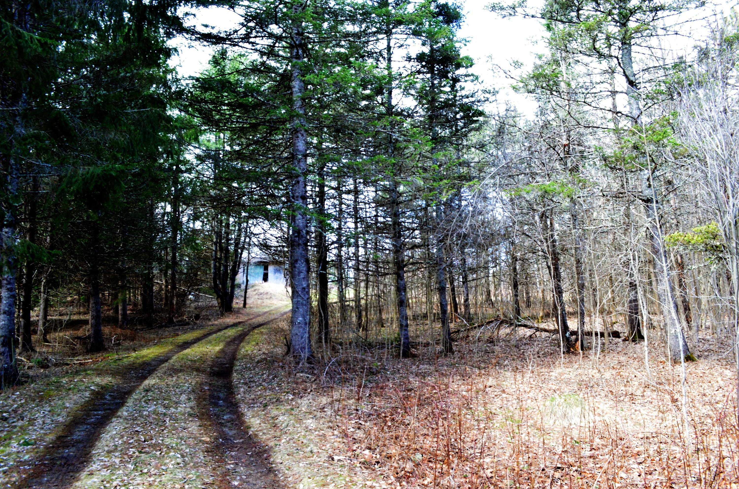 86 Carmel Road South Hampden, ME 04444 - Photo 21 of 21 DSC_0081