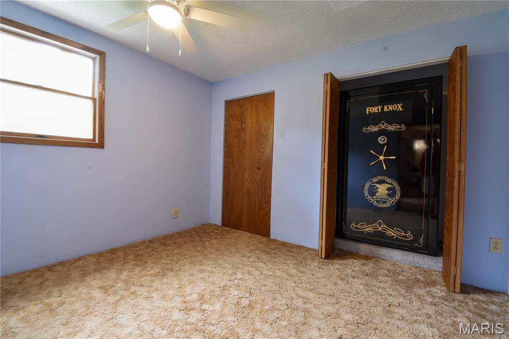 8817 Rezy Road Staunton, IL 62088 - Photo 24 of 48 Gallery Image 24