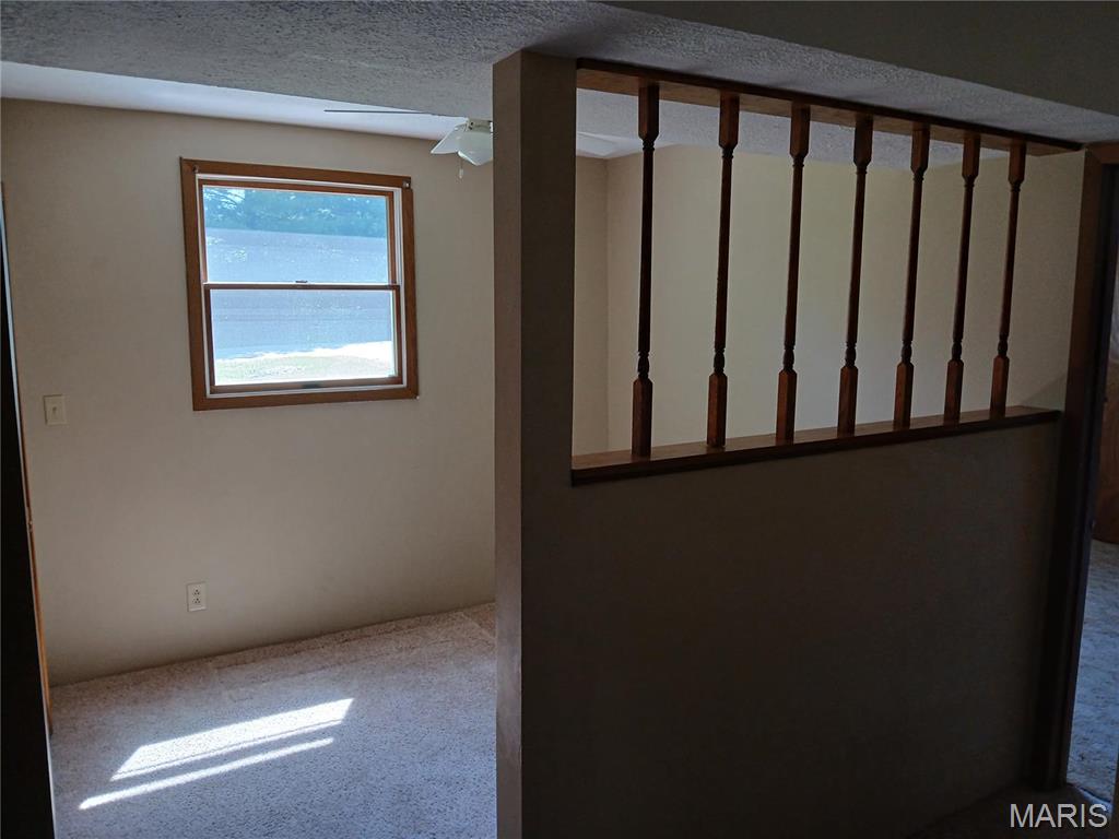 8817 Rezy Road Staunton, IL 62088 - Photo 30 of 48 Gallery Image 30